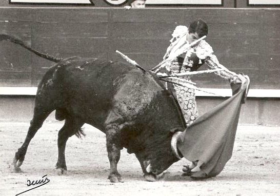 Yiyo, el corazón roto de un príncipe