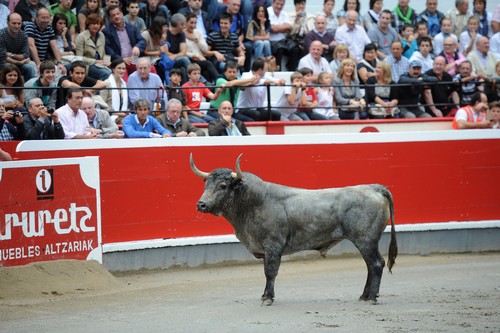 Lo cuenta Pla Ventura: En Azpeitia reina el toro