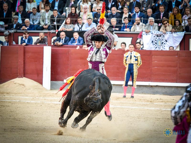 Fernando Sánchez pareando a un toro del Puerto de San Lorenzo