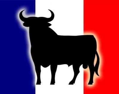 Francia. Tomemos ejemplo / por Pla Ventura