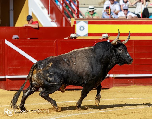 Opinión: La Fiesta necesita de todos.