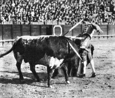 Manolo Bienvenida,torero por casta y por vocación, torero que por la gracia de Dios lo es en esencia, presencia y potencia.
