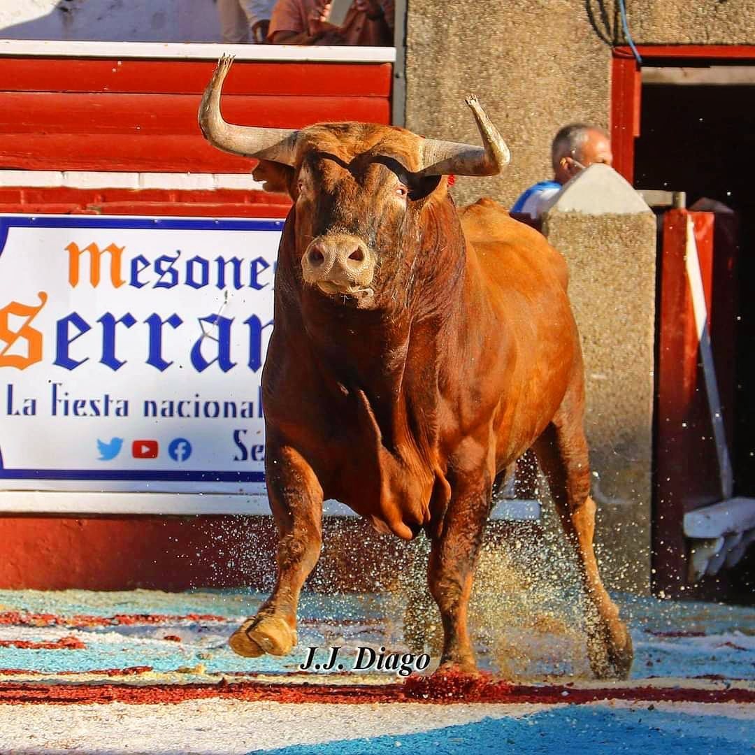 LA FIESTA ESTÁ VIVA  Por: Rafael Cué