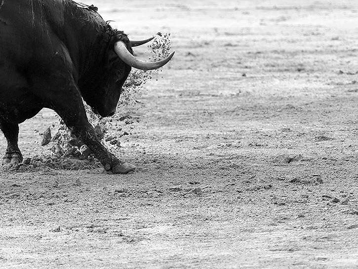 ¡Salvemos la Fiesta! / por Paco Cañamero