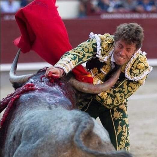 El que no arriesga no gana @escribanomanuel
