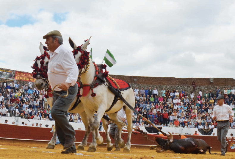 El arrastre