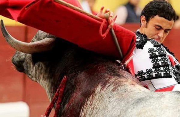 Obispo y Oro: Superligas de “los mismos” Por Fernando Fernández Román.