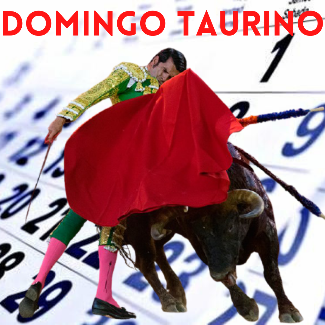 Resultados del domingo taurino