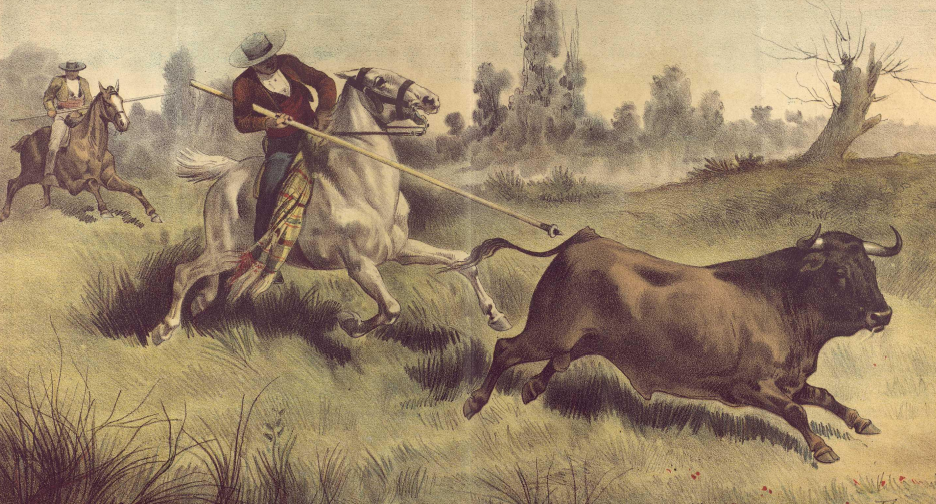 Acoso en campo abierto