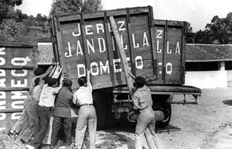 El transporte de Toros en Ferrocarril