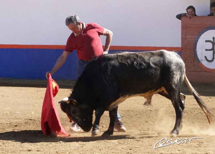 “El Niño de la Capea” simplemente sensacional en San Constantino
