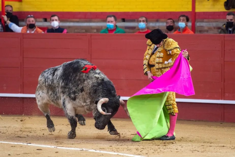 Valdemorillo: Morante, reclamo y protagonista