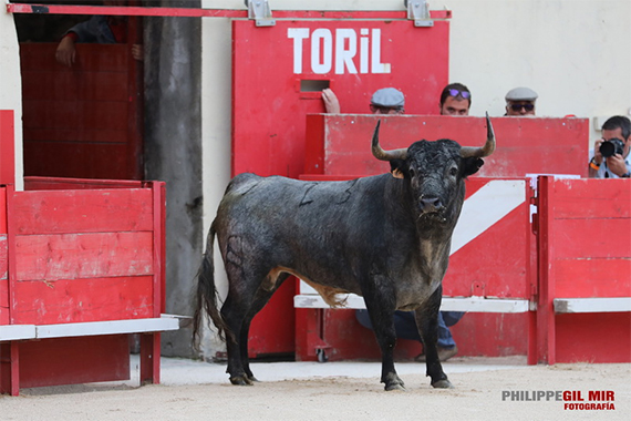 FRANCIA:Alès presenta los carteles de su Feria de la Ascensión