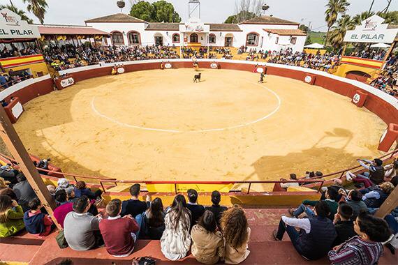 Seleccionados los novilleros VII Bolsín Taurino de La Carlota