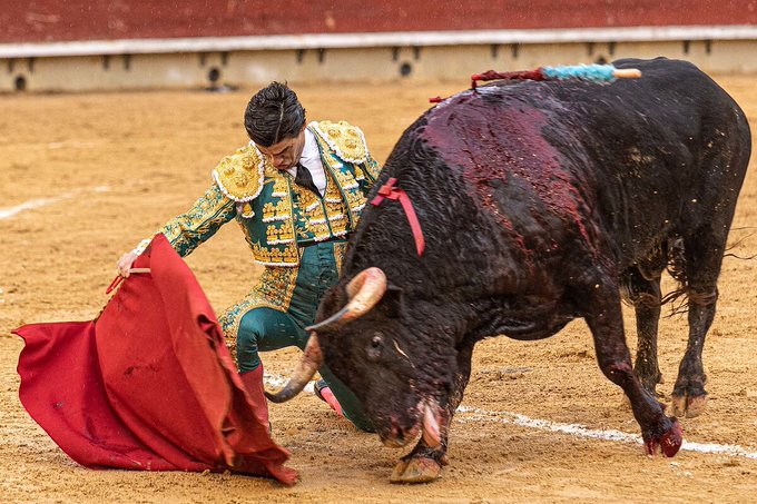 Puerta Grande de Pablo Aguado, tras desorejar al tercero de Juan Pedro Domecq en Castellón