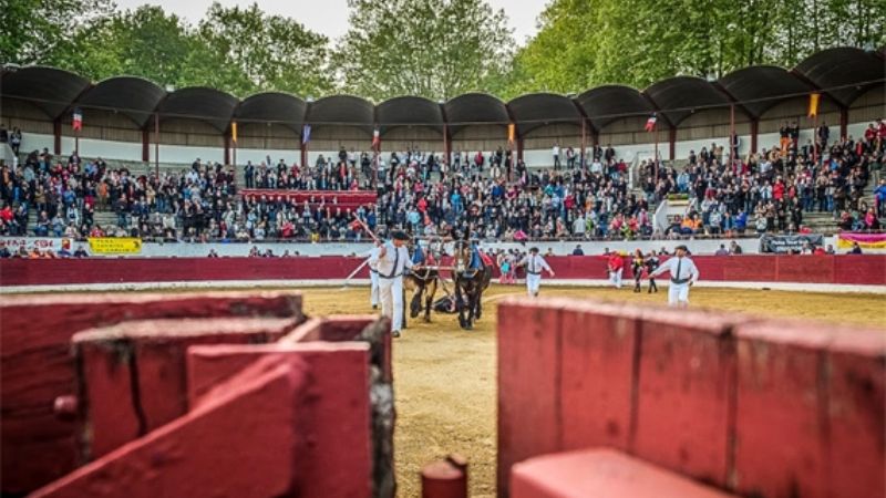 Aire sur l’Adour presenta los carteles del 50º aniversario