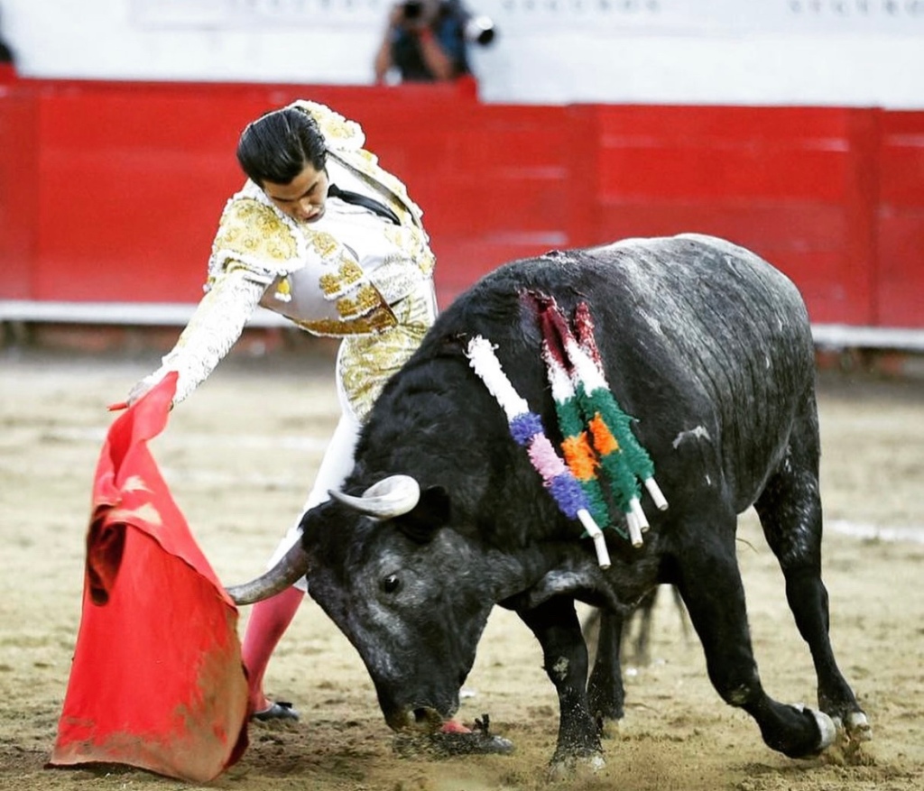 Diego San Román y la próxima revolución del toreo en México.
