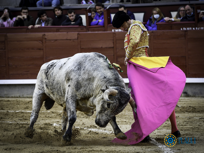 LAS VENTAS:desafío Ganadero con juego interesante de varios toros de Saltillo y Los Maños.