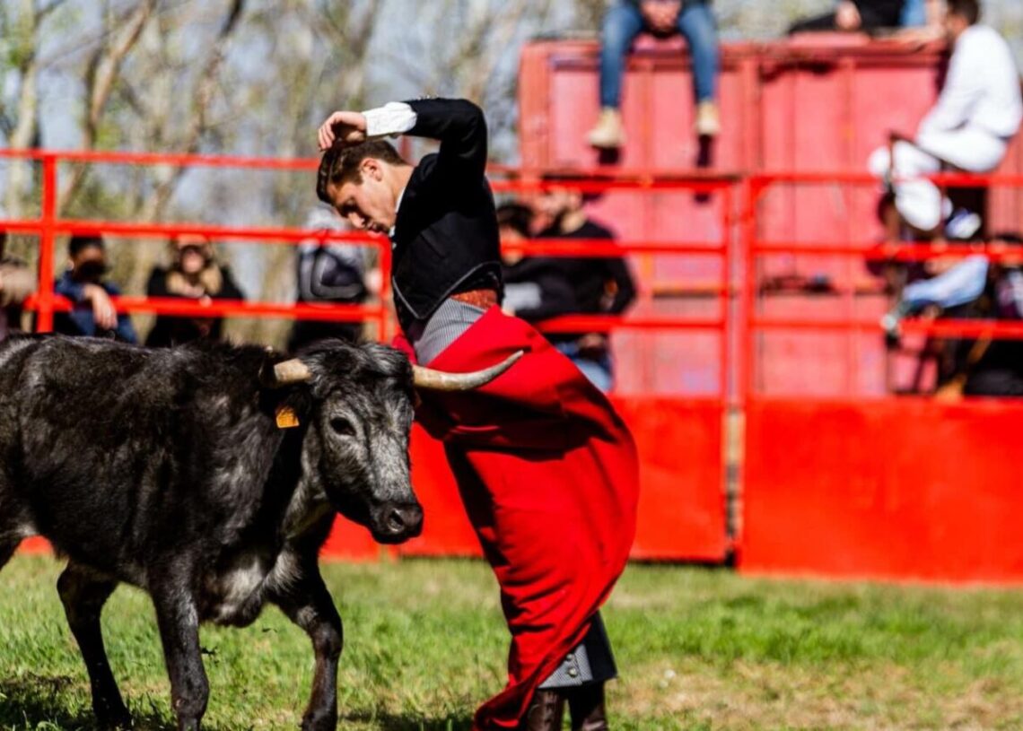 Éxito en el día de la juventud taurina francesa