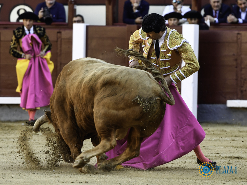 ¡Ahí va un torero!
