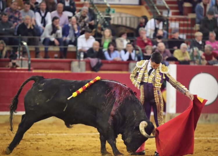 Zaragoza: Toreros en tierra de nadie