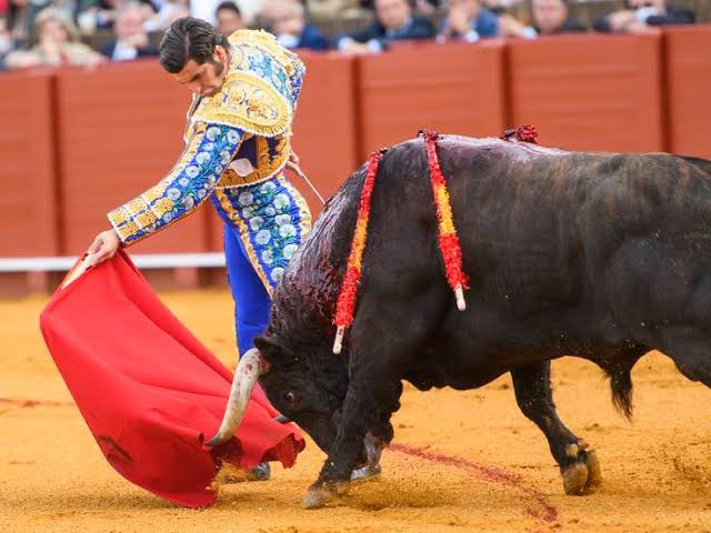 Opinión: «Tenía usted razón»