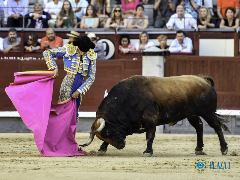La Fundación Toro de Lidia considera que la exclusión de la tauromaquia del bono cultural es ilegal y arbitraria