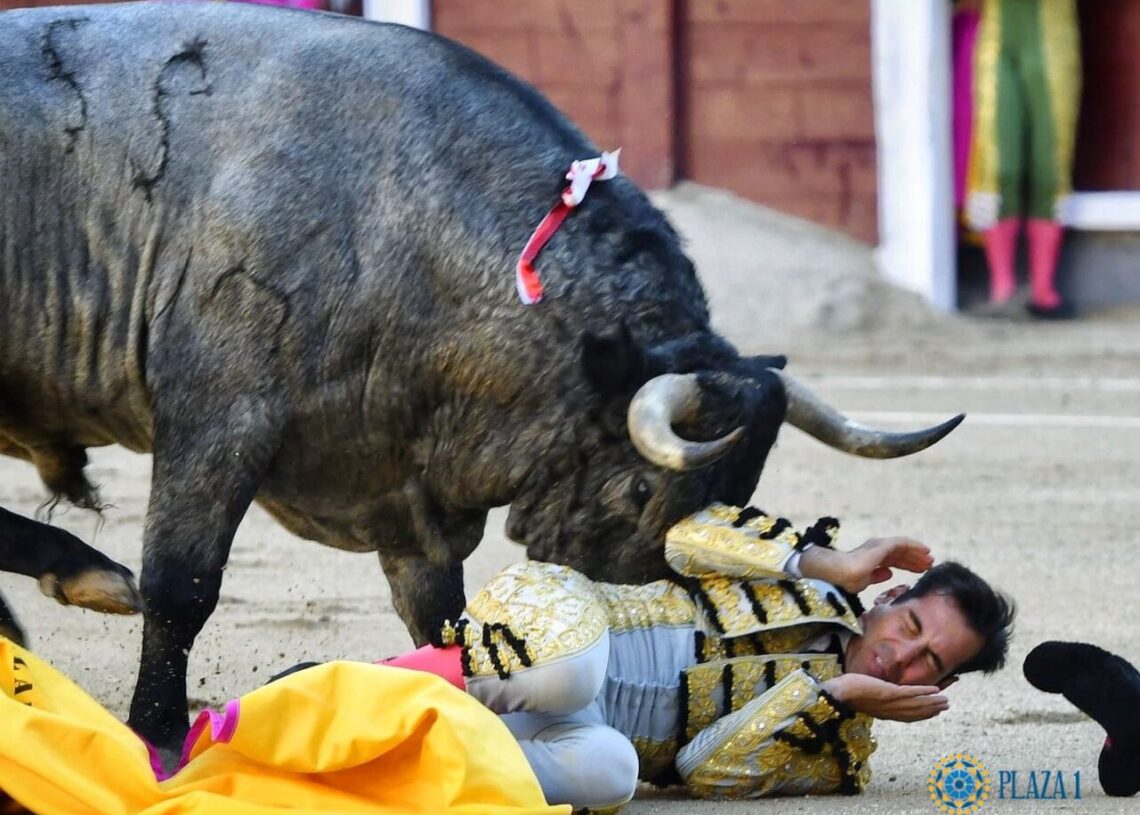 ‘Gómez del Pilar solo piensa en reaparecer en Vic Fezensac’
