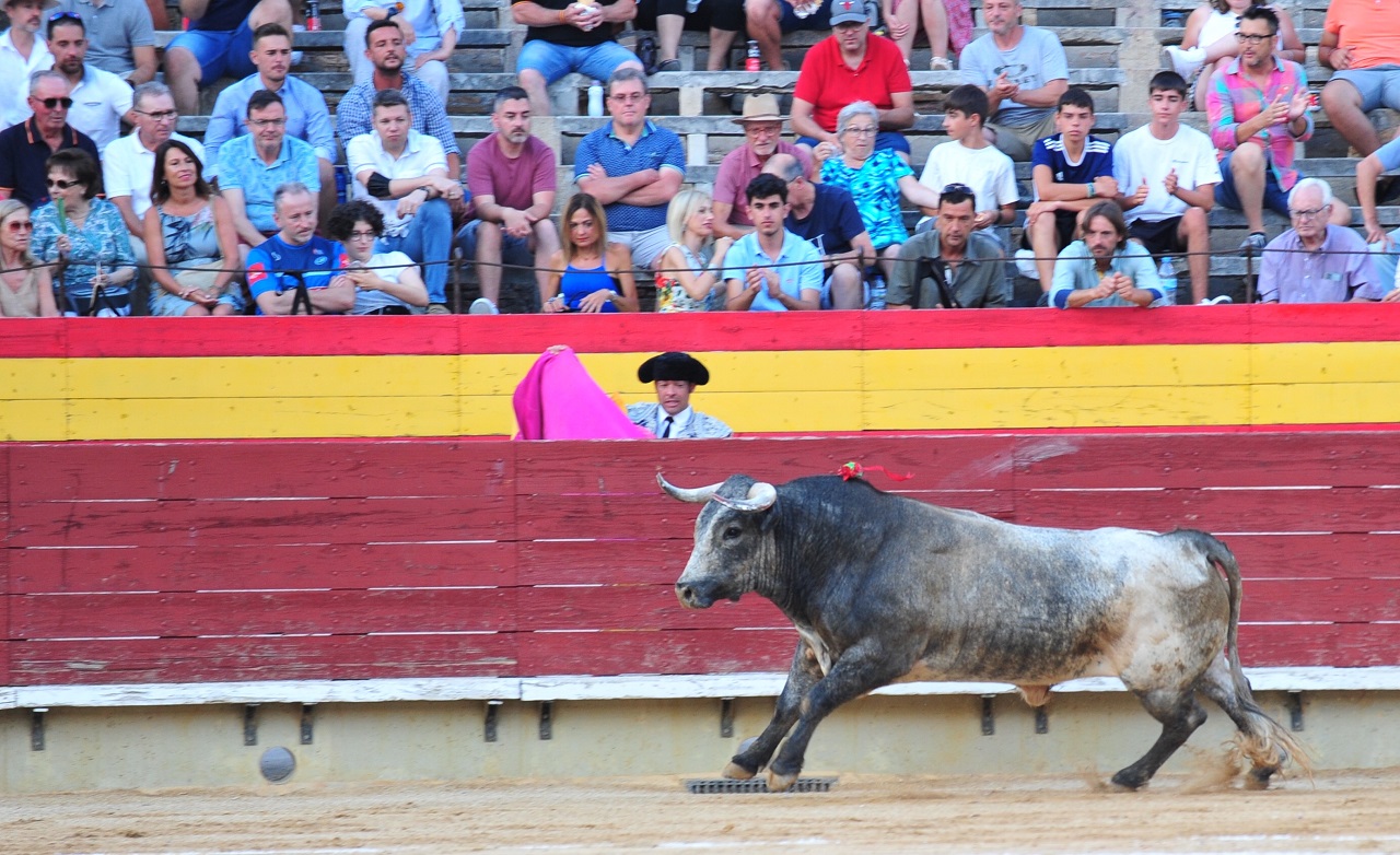 CASTELLÓN:Una deslucida ‘miurada’ echa al traste las ilusiones de la terna