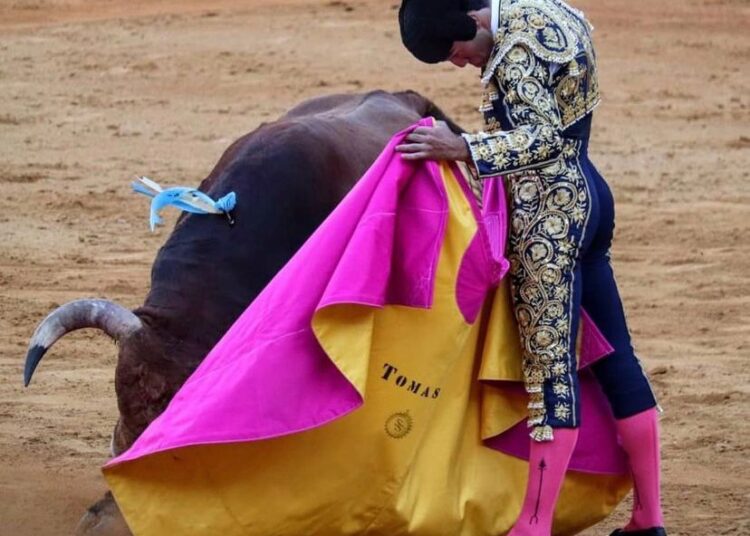 Granada: Nuevo alboroto de Tomás Rufo, en hombros con El Juli