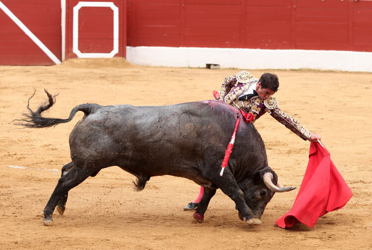 Vic-Fezensac: José Escolar siembra el pánico en el último festejo.