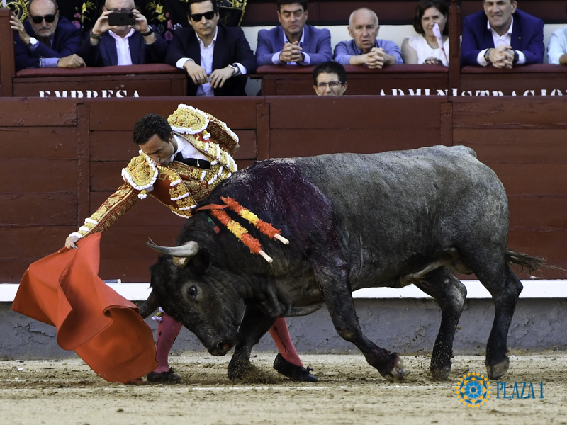 Lo cuenta Pla Ventura: Loas de alabanza para Rafaelillo en Madrid