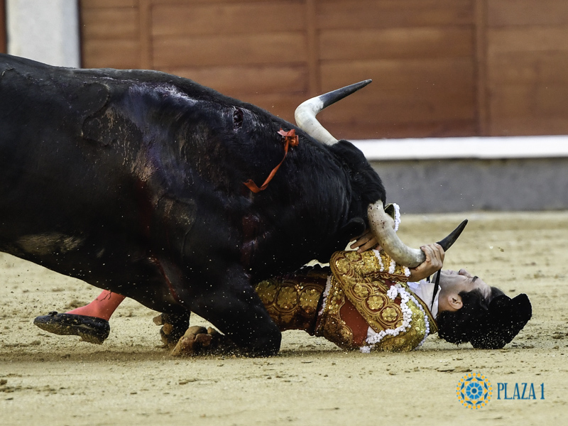 La heroicidad de los toreros