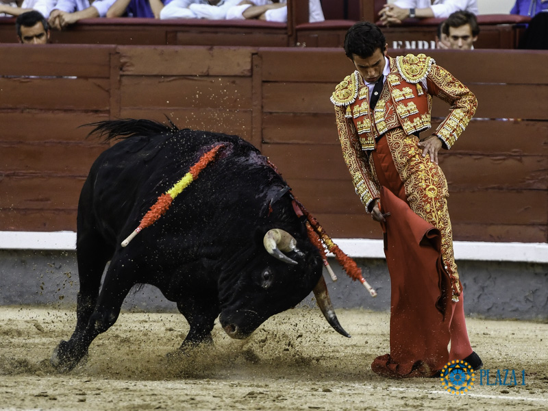 Madrid: Vuelta al ruedo para Burdiel tras interesante faena al sexto