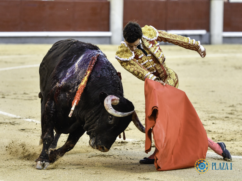 Tomás Rufo vuelve a impactar en Madrid