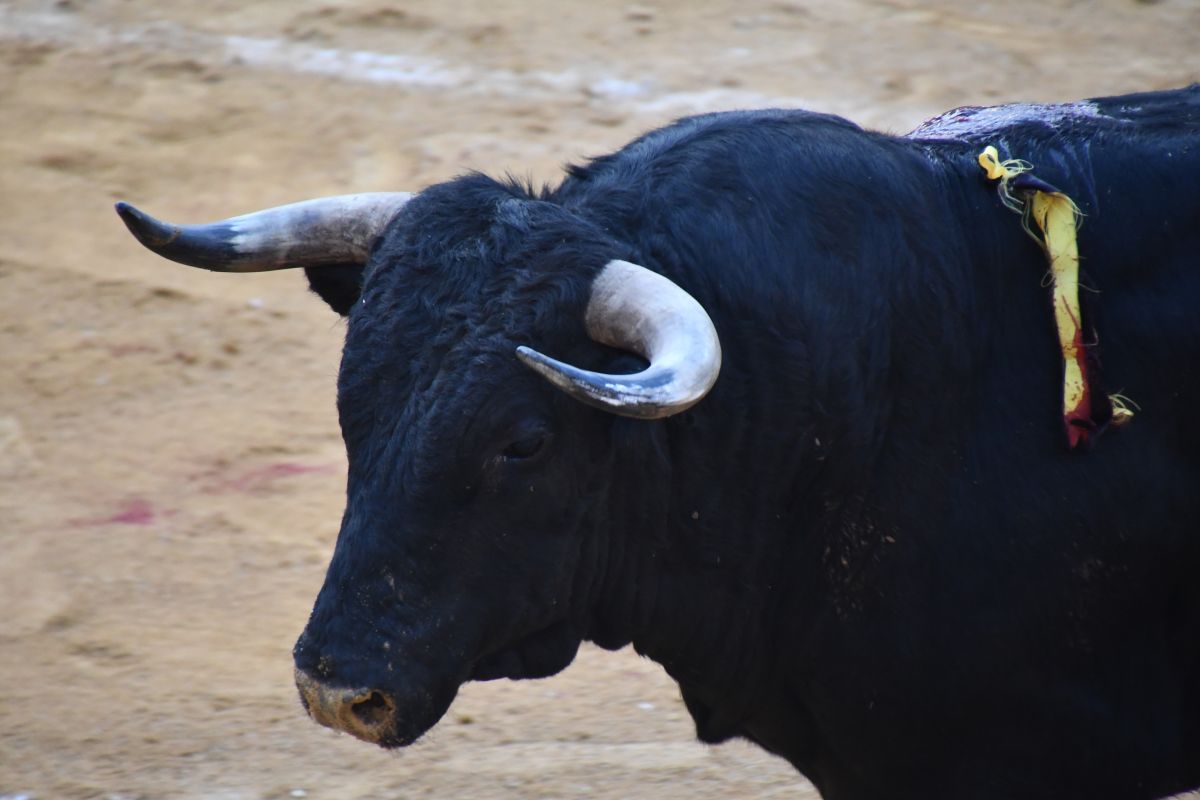 Lo cuenta Pla Ventura: Murió el peligro