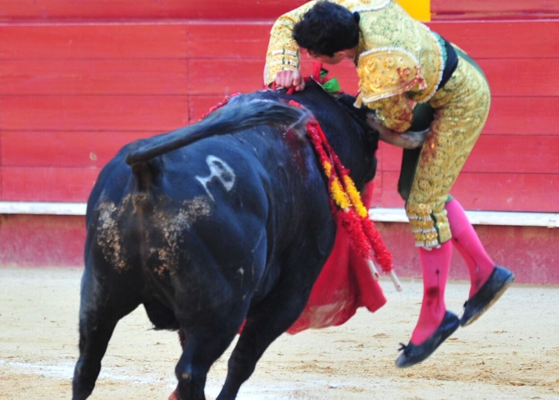 Valencia: Fonseca vuelve a gritar que quiere ser torero