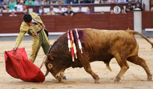 Isaac Fonseca culmina su espectacular etapa de novillero