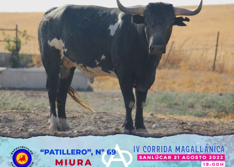 Los ‘miuras’ para la Magallánica de Sanlúcar