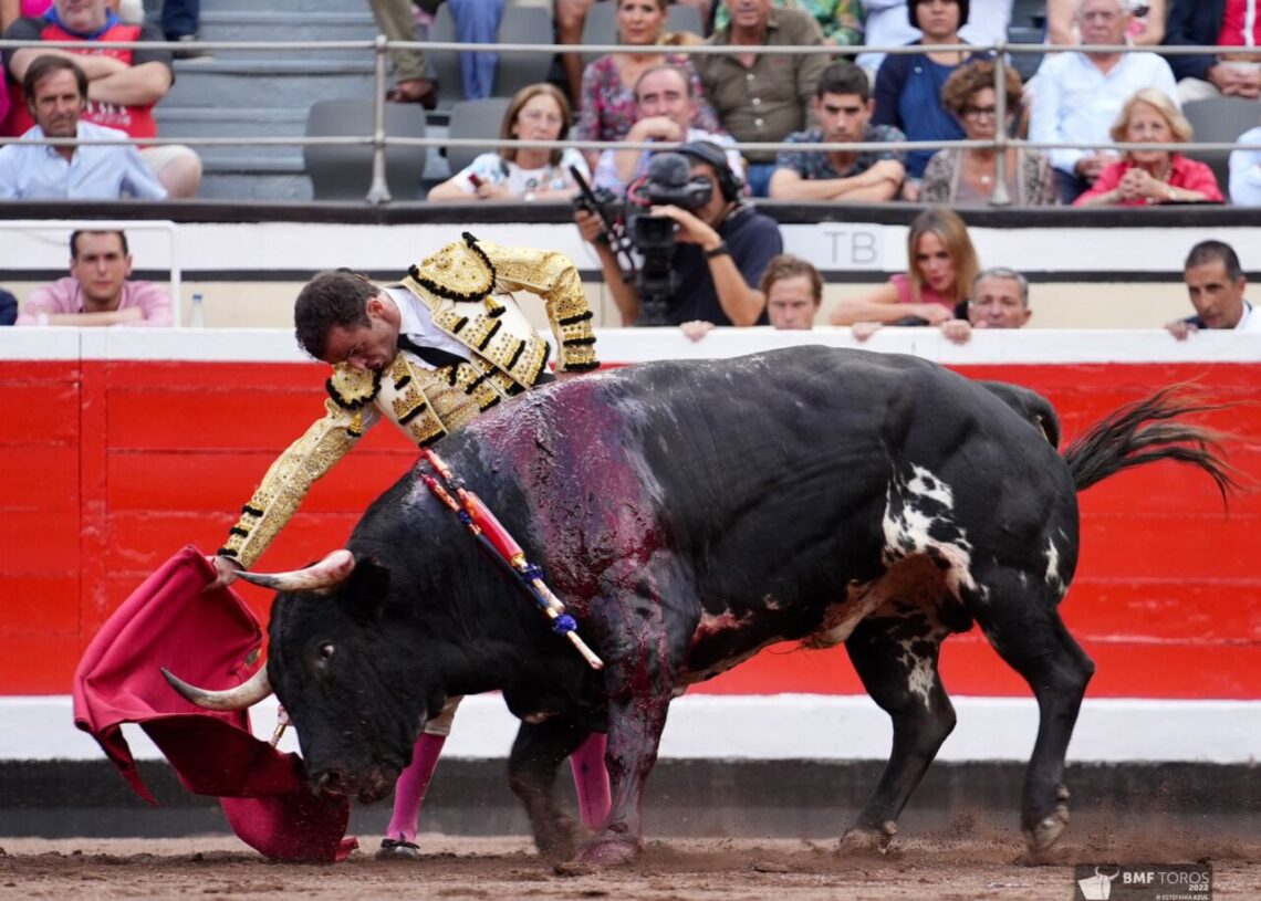 Vuelta para Damián Castaño en el regreso de los toros de Dolores Aguirre a Bilbao