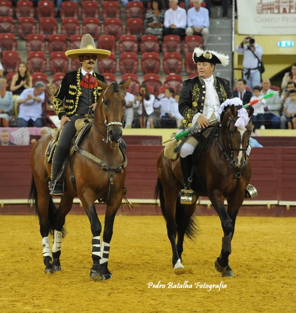Jueves en Lisboa:bravos forcados contra toros muy duros de la emblemática ganadería Vinhas