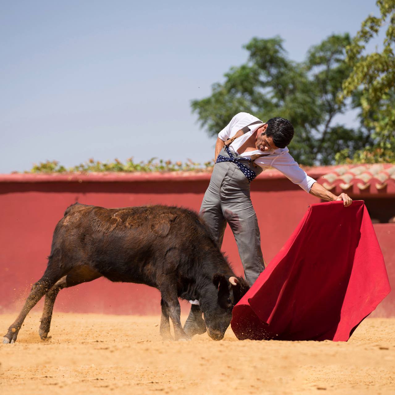 Emilio de Justo @EmiliodeJusto , puesta a punto en el campo