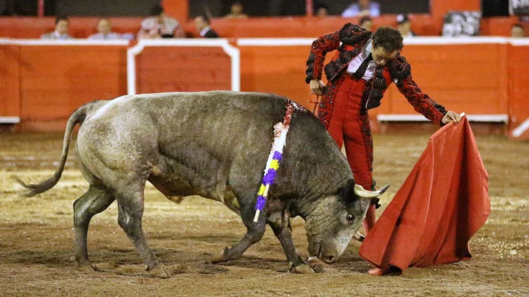 El toreo fustigado en México; pero adelante