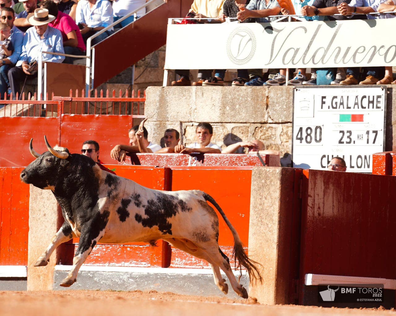 Sobre Galache, Roca Rey y Morante en Salamanca
