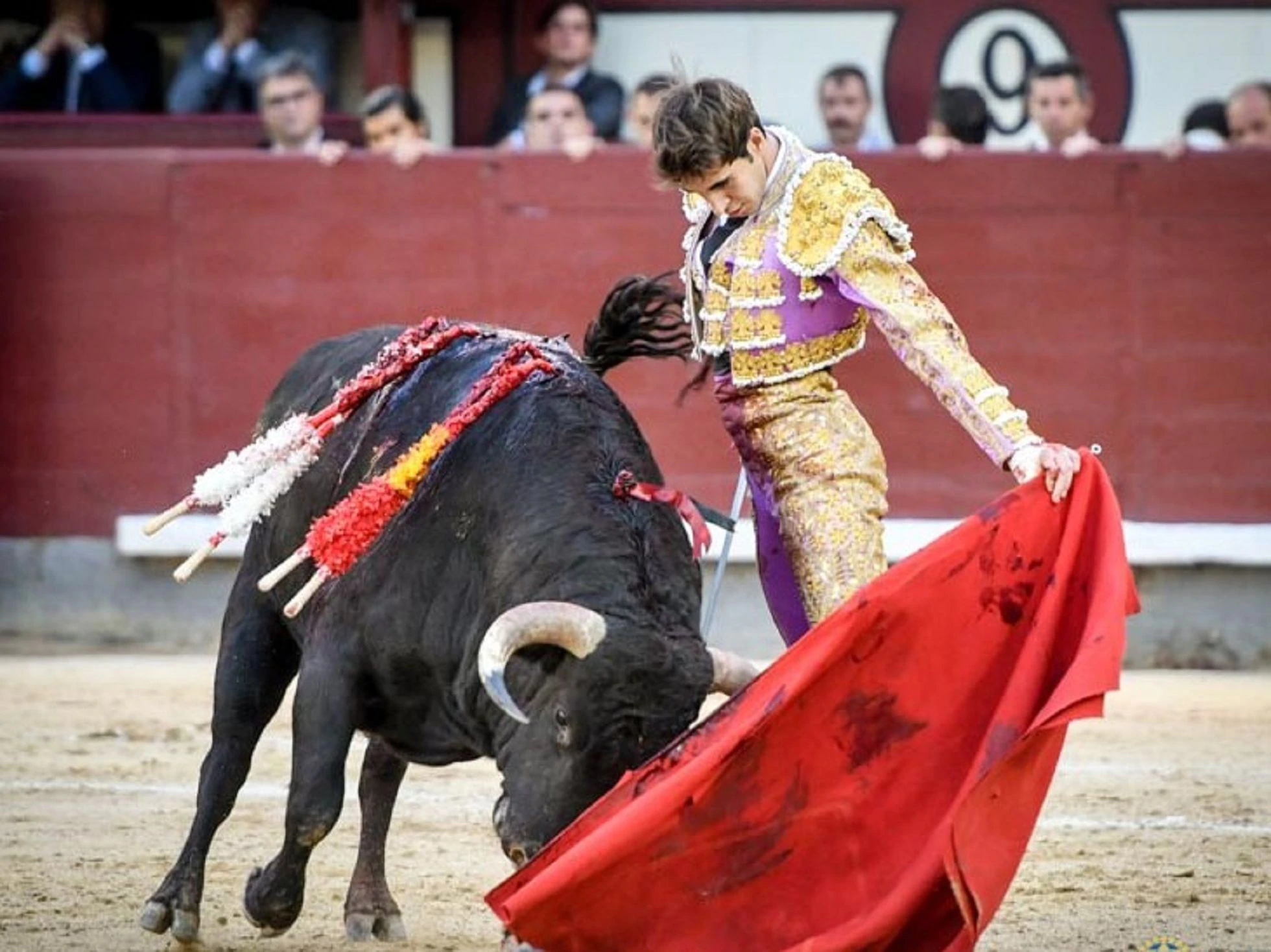Fernando Plaza, la dificultosa, ilusionante y digna trayectoria de un novillero
