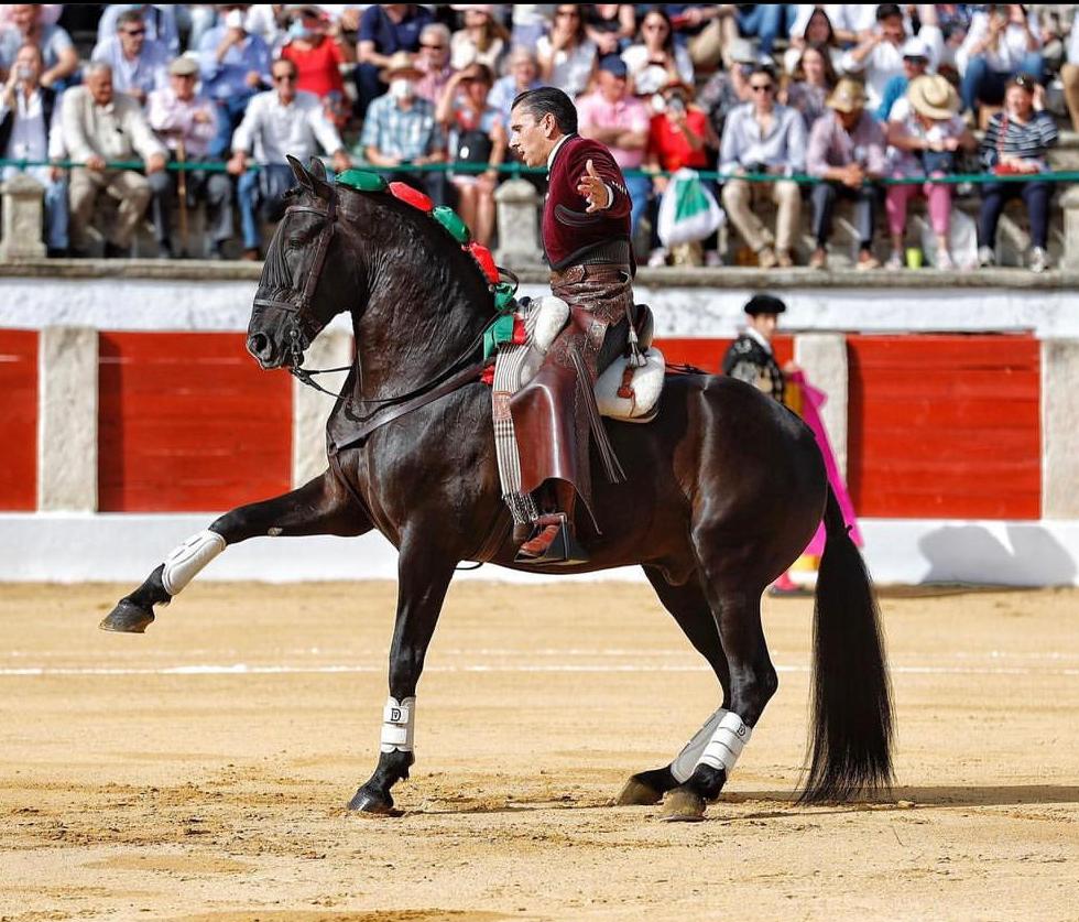 Los veinte caballos de Diego Ventura para la corrida de Mérida