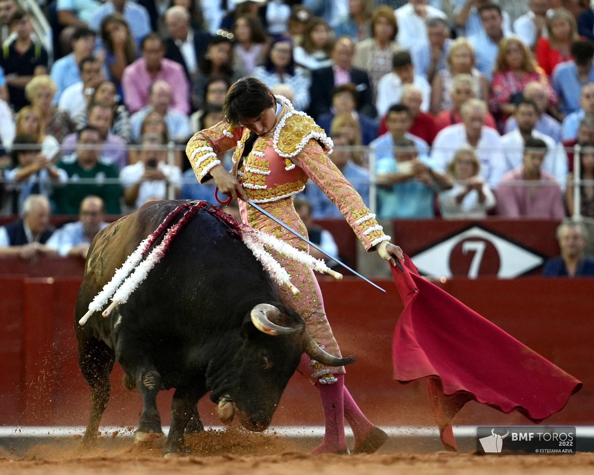 Clamorosa tarde de toreo en Salamanca