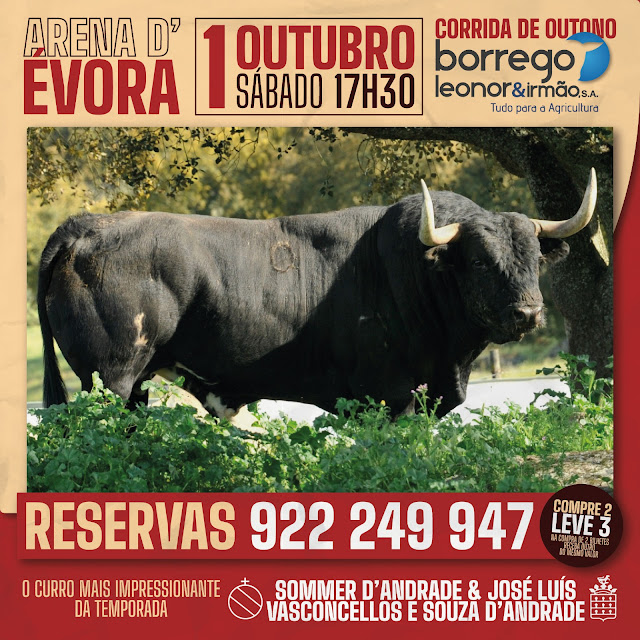 Évora, 1 de Octubre: la corrida más impresionante de la temporada en Portugal!