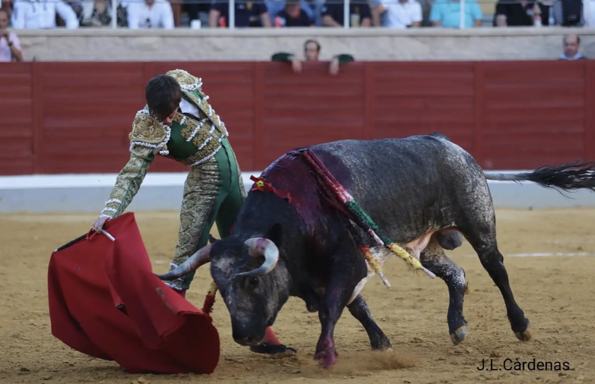 Alfarero de Oro 2022: Destaca Arturo Gilio con una novillada de La Quinta.