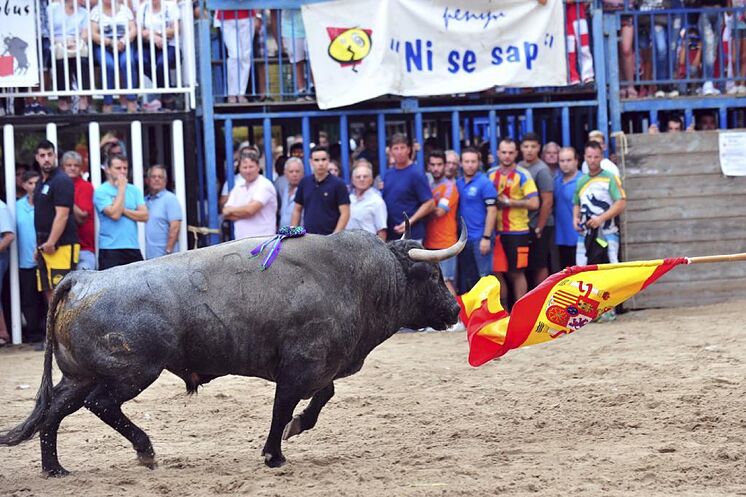 7 muertos por asta de toro; 240 ahogados en las playas / por Pla Ventura